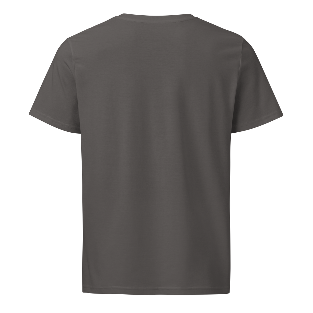 Camiseta basica ascend legacy color gris.