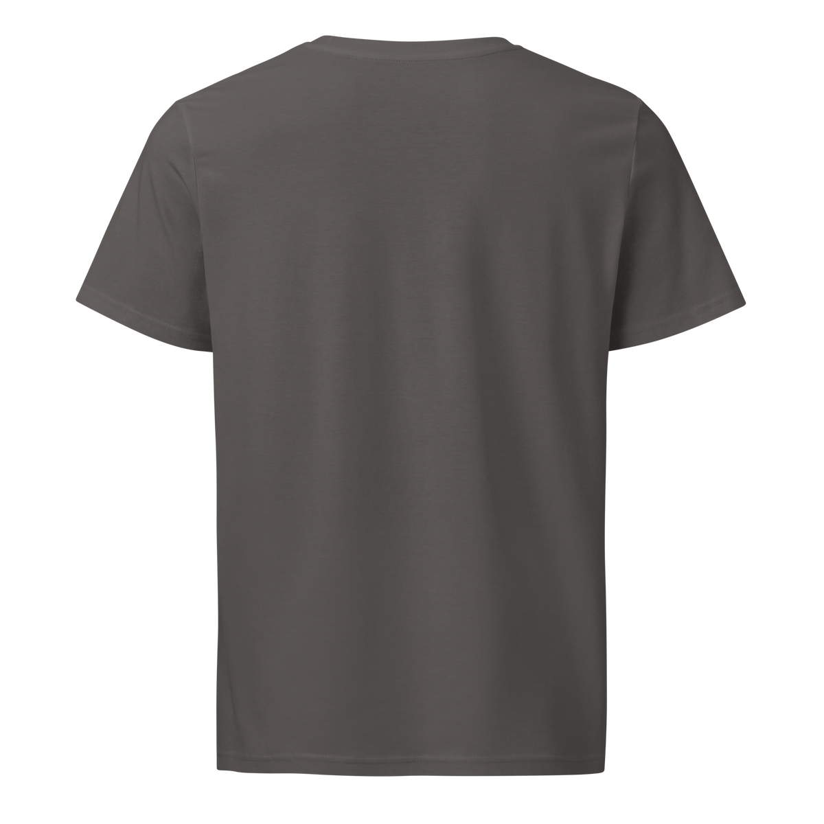 Camiseta basica ascend legacy color gris.