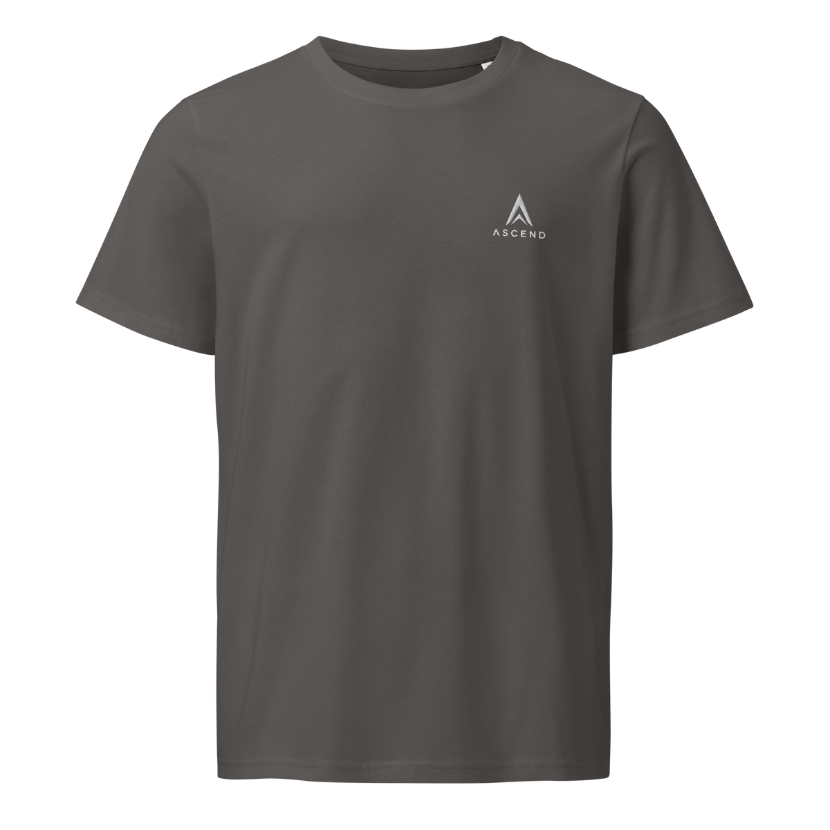Camiseta basica ascend legacy color gris.